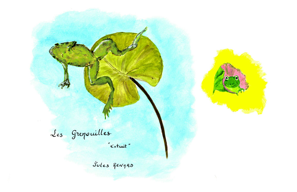4 belles illustrations d'extraits du poème de Jules Renard, Les grenouilles...
